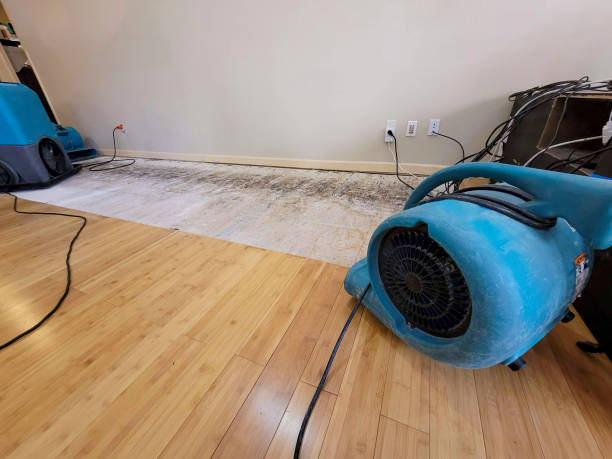 Professional Emergency Water Damage technician working in Pleasant View, UT